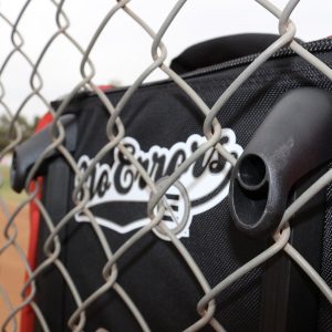 The Dinger II - Image 10