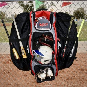 The Dinger II - Image 18